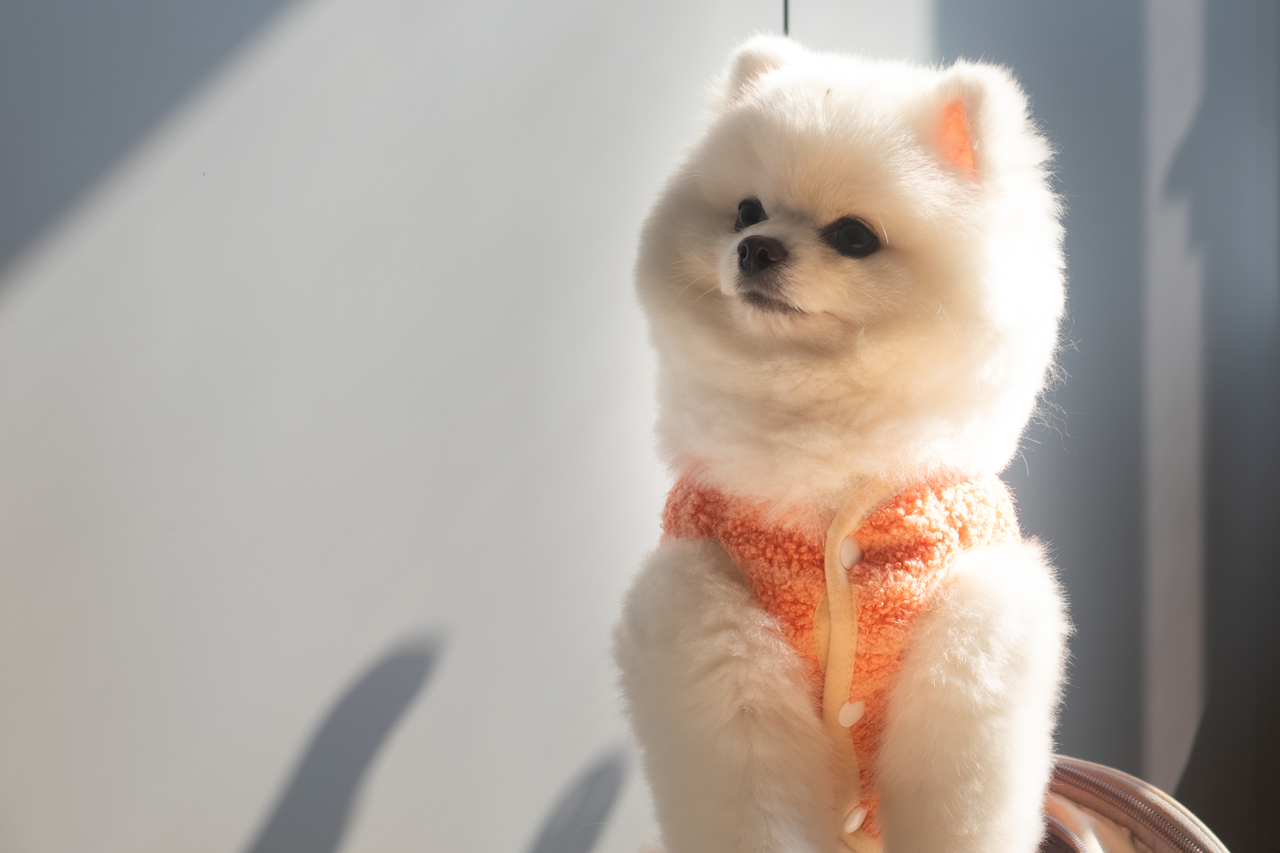 IMG_3147 - 副本.jpg