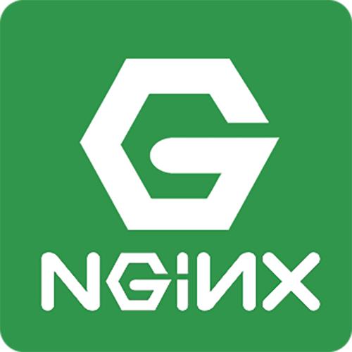 nginx-.jpeg