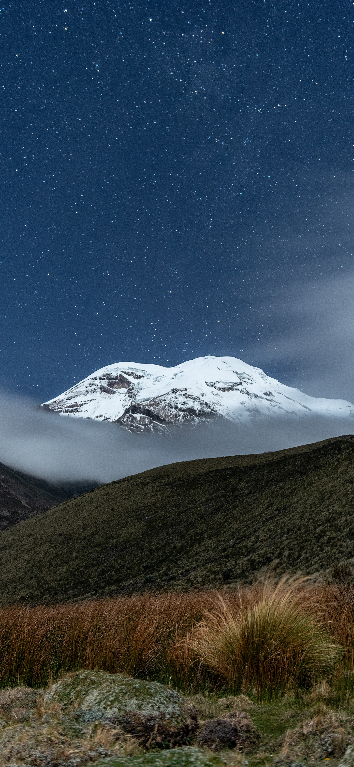 alain-bonnardeaux-aUdoa_00dgY-unsplash(1).png