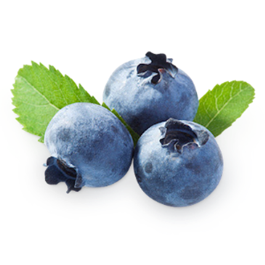 pngimg_com-blueberries_PNG42.png