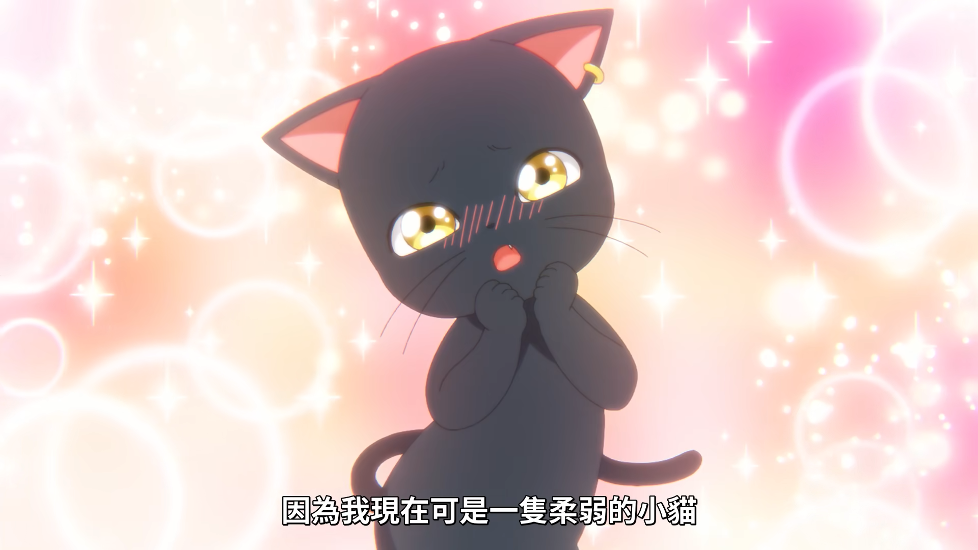 魔女与猫1 逆天的猫.png